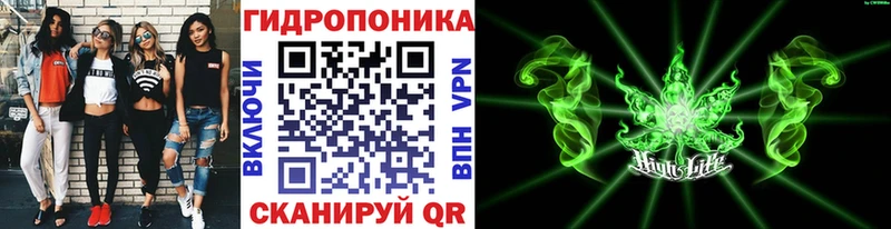 Бошки Шишки план  Юрьевец 